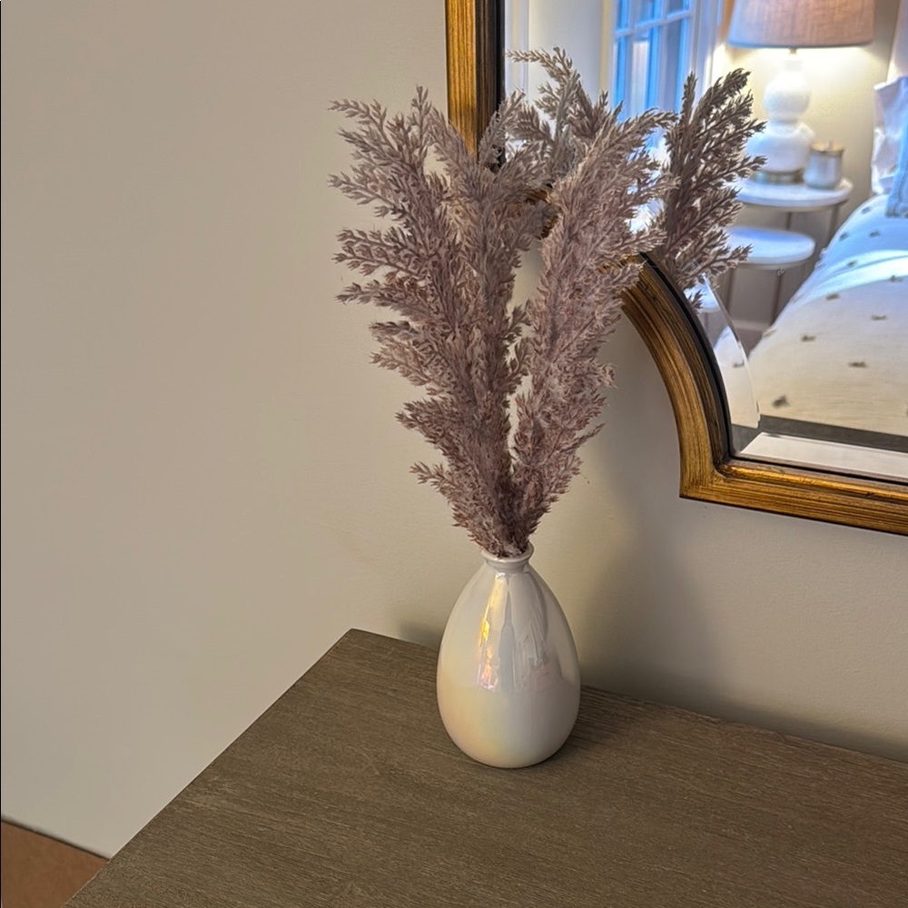 Decorative mauve pampas grass